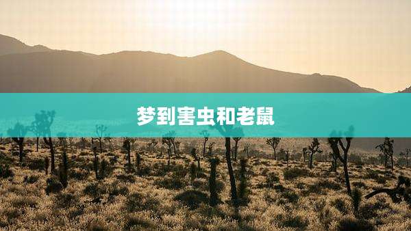 梦到害虫和老鼠