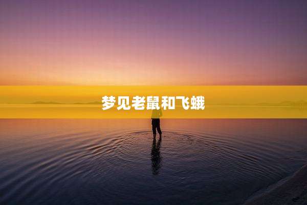 梦见老鼠和飞蛾