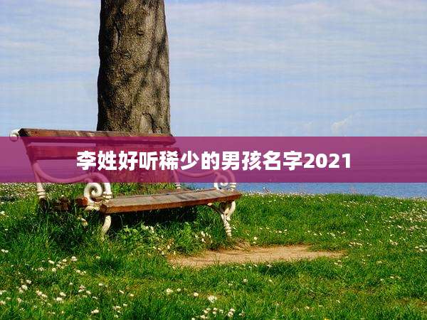 李姓好听稀少的男孩名字2021