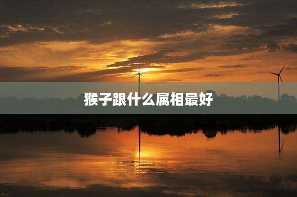 猴子跟什么属相最好