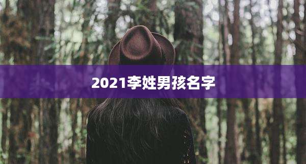 2021李姓男孩名字