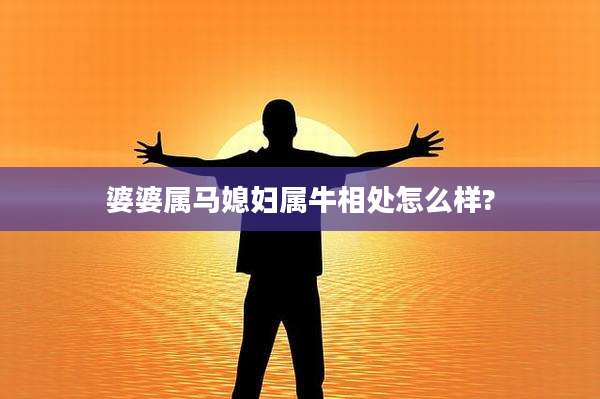 婆婆属马媳妇属牛相处怎么样?
