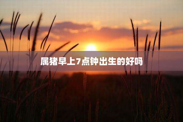 属猪早上7点钟出生的好吗