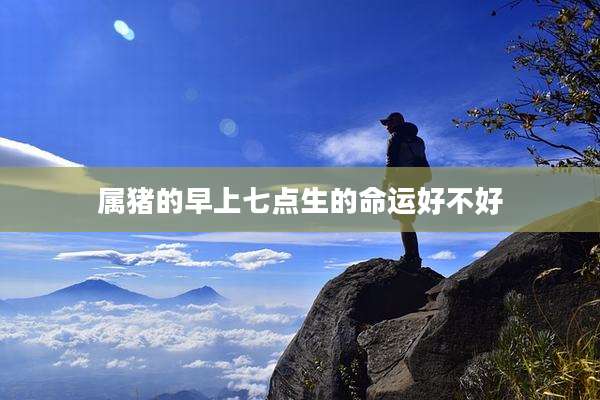 属猪的早上七点生的命运好不好