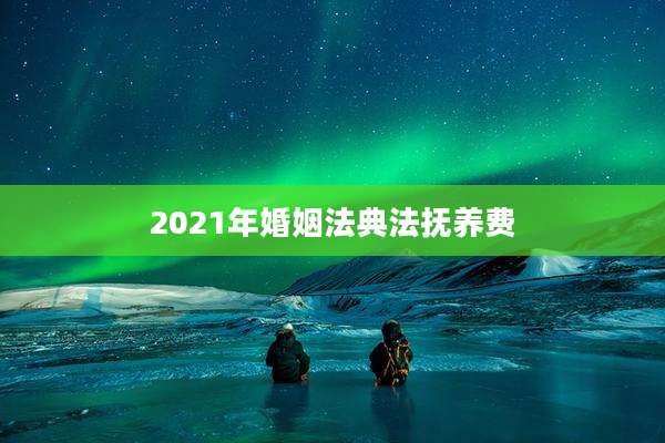 2021年婚姻法典法抚养费