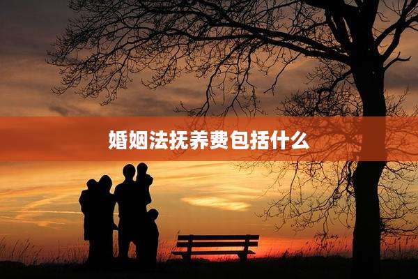 婚姻法抚养费包括什么