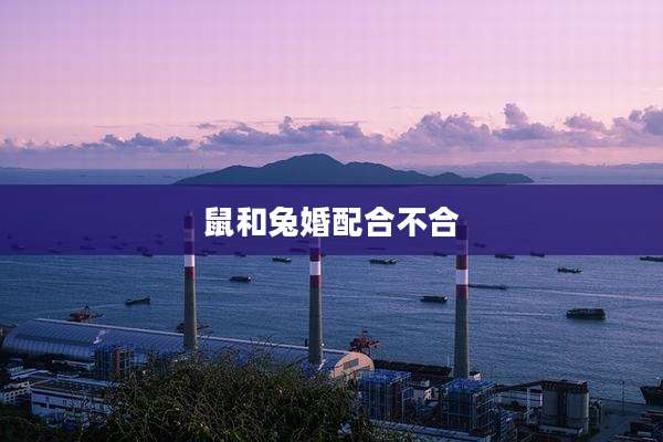 鼠和兔婚配合不合