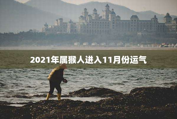 2021年属猴人进入11月份运气