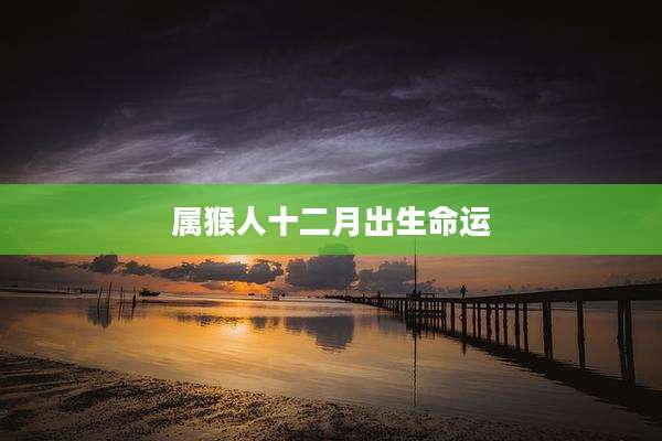 属猴人十二月出生命运