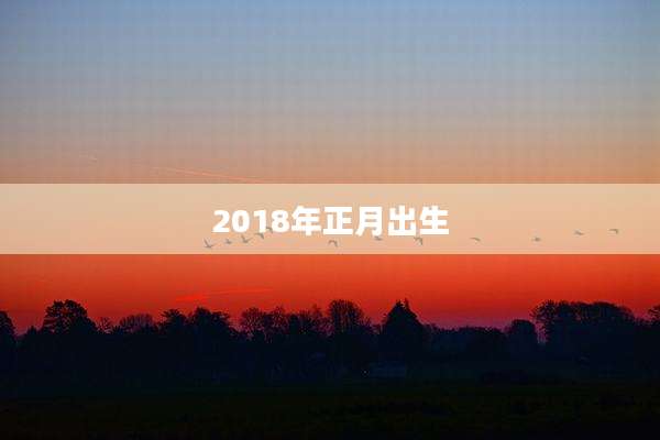 2018年正月出生