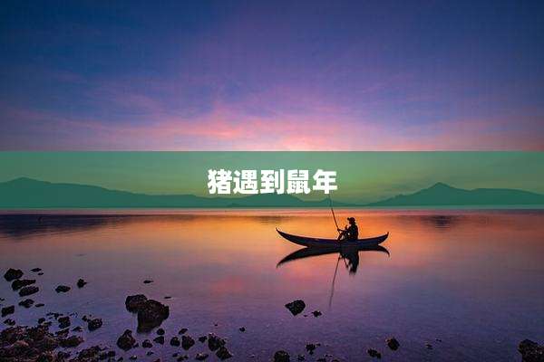 猪遇到鼠年