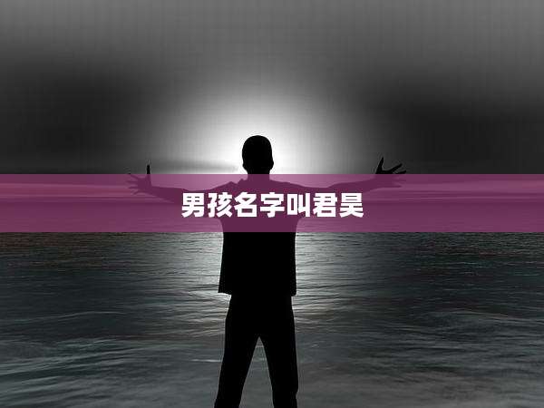 男孩名字叫君昊