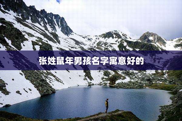 张姓鼠年男孩名字寓意好的