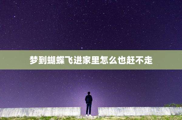 梦到蝴蝶飞进家里怎么也赶不走