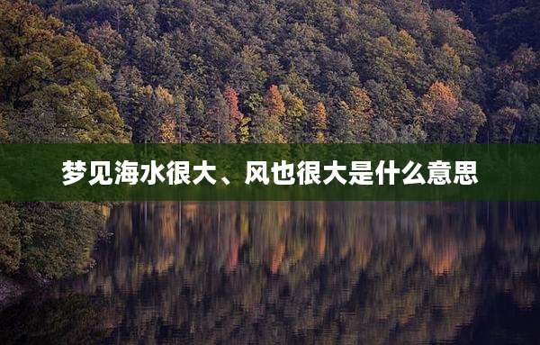 梦见海水很大、风也很大是什么意思