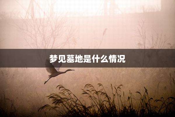 梦见墓地是什么情况