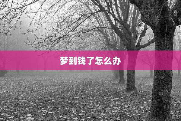 梦到钱了怎么办
