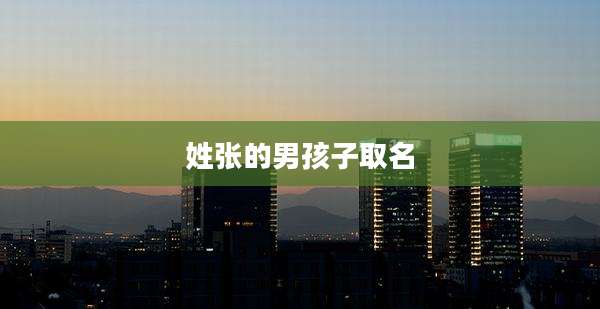 姓张的男孩子取名
