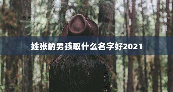 姓张的男孩取什么名字好2021