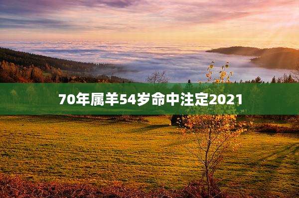 70年属羊54岁命中注定2021
