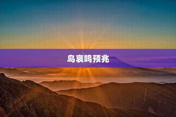 鸟哀鸣预兆