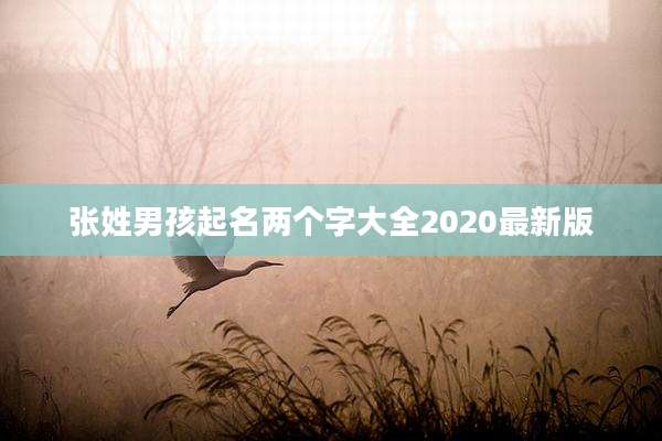 张姓男孩起名两个字大全2020最新版
