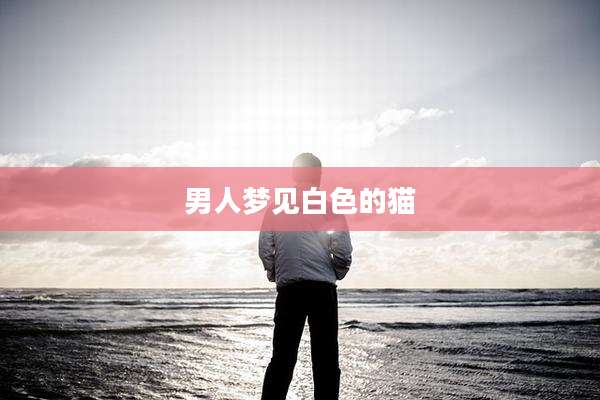 男人梦见白色的猫