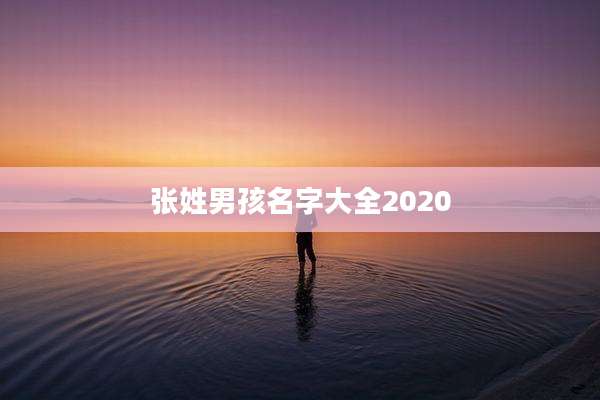 张姓男孩名字大全2020