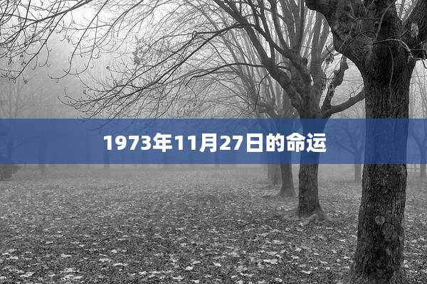 1973年11月27日的命运