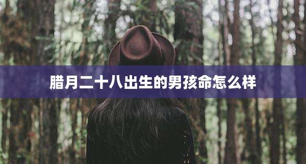 腊月二十八出生的男孩命怎么样