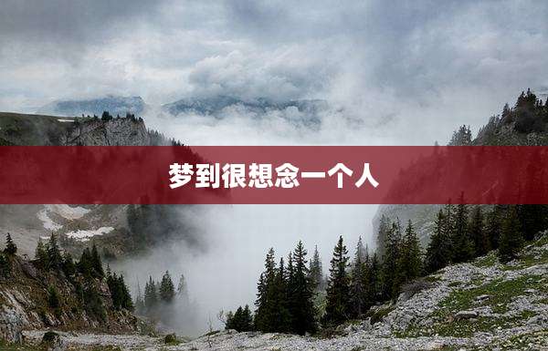 梦到很想念一个人