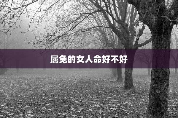 属兔的女人命好不好