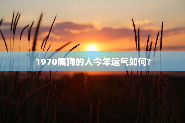 1970属狗的人今年运气如何?