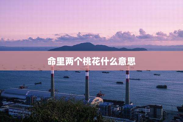 命里两个桃花什么意思