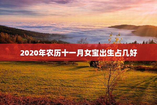 2020年农历十一月女宝出生占几好