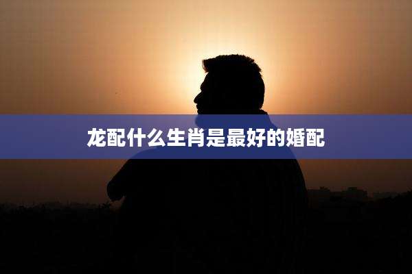龙配什么生肖是最好的婚配