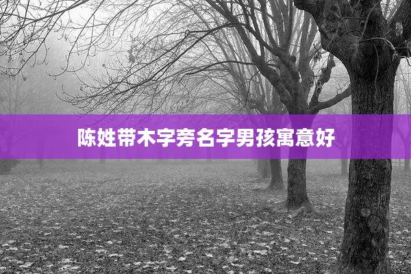 陈姓带木字旁名字男孩寓意好
