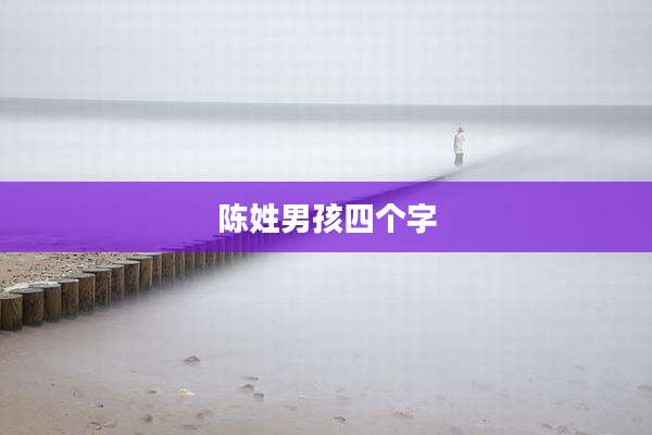 陈姓男孩四个字