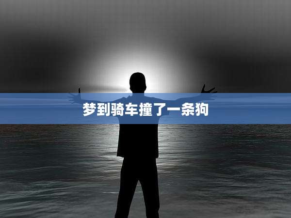 梦到骑车撞了一条狗