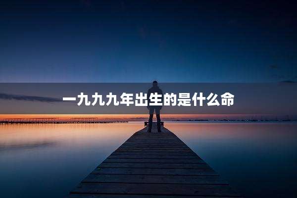 一九九九年出生的是什么命