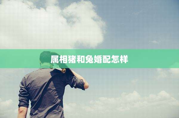 属相猪和兔婚配怎样