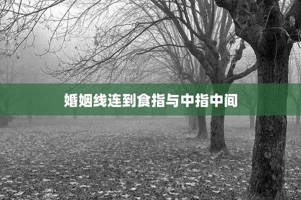 婚姻线连到食指与中指中间