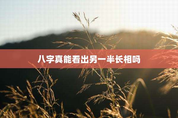 八字真能看出另一半长相吗