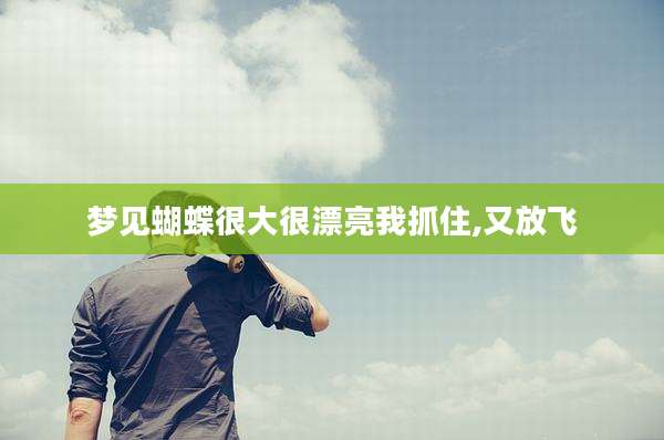 梦见蝴蝶很大很漂亮我抓住,又放飞