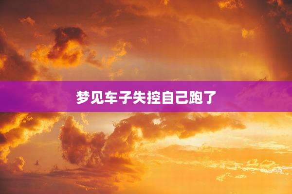 梦见车子失控自己跑了