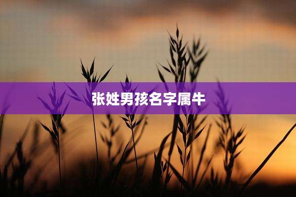 张姓男孩名字属牛