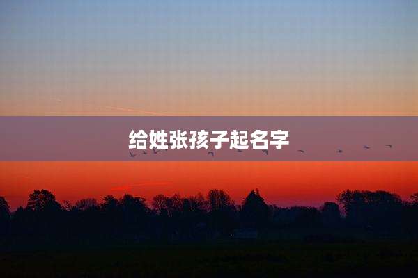 给姓张孩子起名字