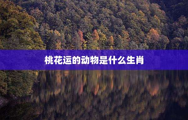桃花运的动物是什么生肖