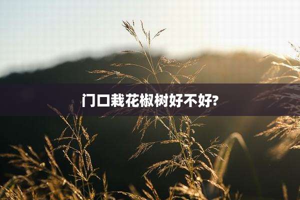 门口栽花椒树好不好?