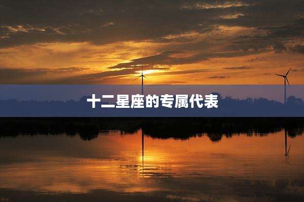 十二星座的专属代表